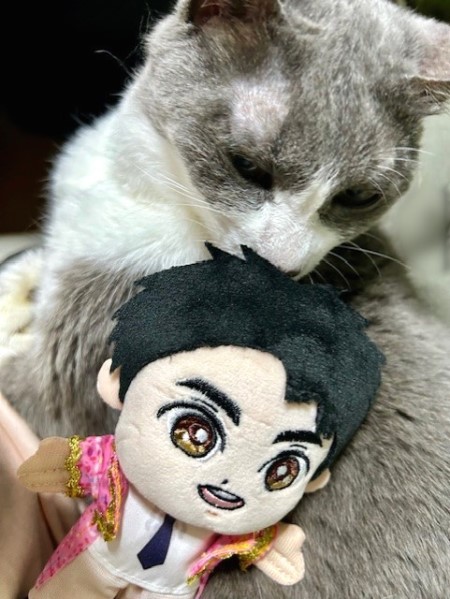 郷ひろみさんのぬいぐるみが気に入ったネネちゃん : 猫だらけ Powered