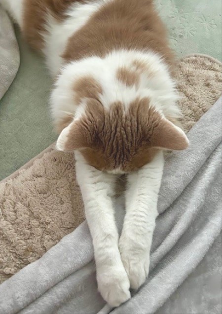 thumbnail_IMG_4639 (2)