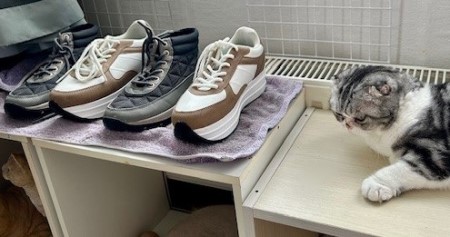 thumbnail_IMG_5482 (1)