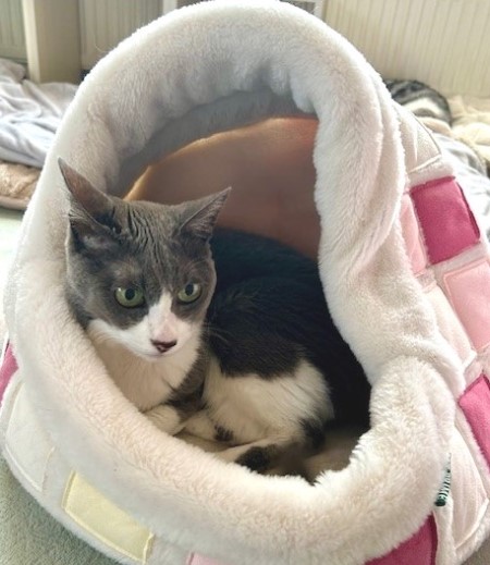 thumbnail_IMG_4749 (3)