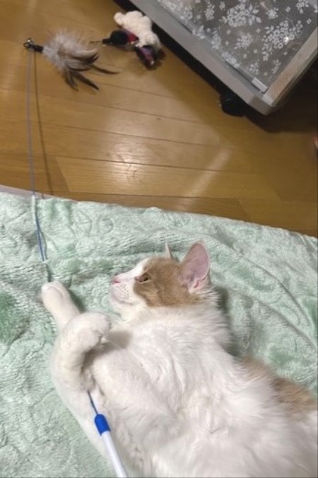 thumbnail_IMG_7467 (1)