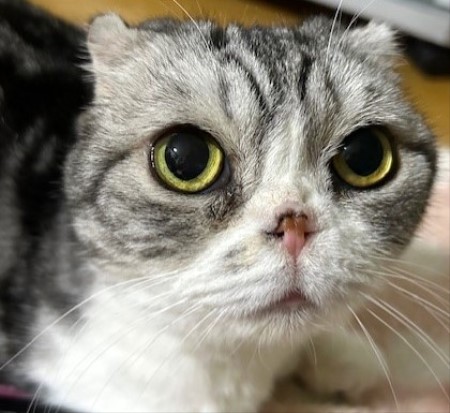 thumbnail_IMG_3707 (2)