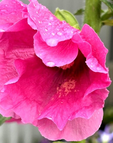 thumbnail_IMG_8841 (2)