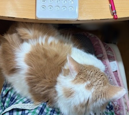 0f2654a6-97e4-4ea4-ab70-0f35444ccea6