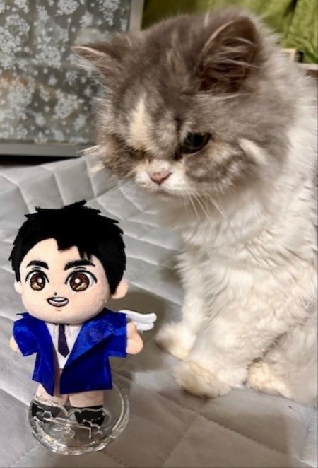 こひろみくん（郷ひろみさんのぬいぐるみ）の服作り① : 猫だらけ