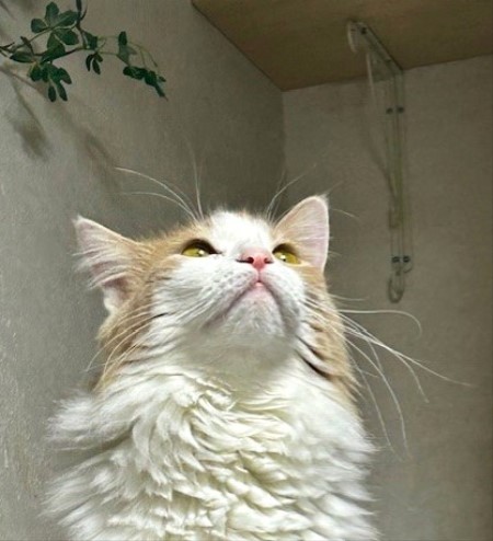 thumbnail_IMG_7768