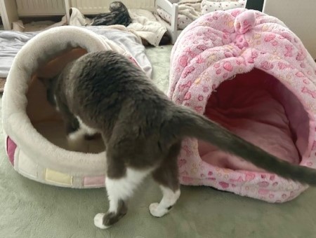 thumbnail_IMG_4752 (2)