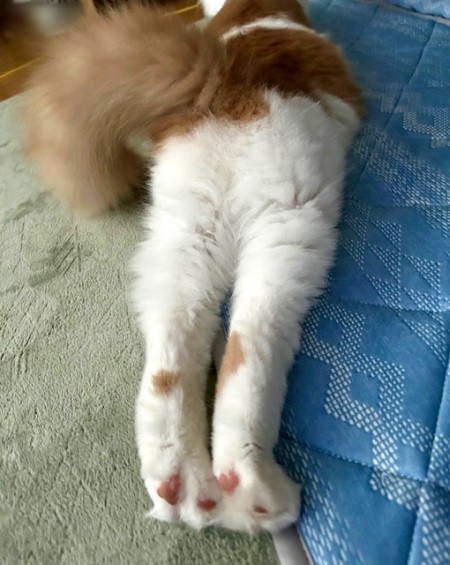 thumbnail_IMG_8407 (2)