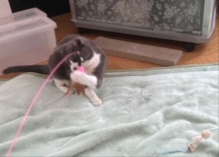 thumbnail_IMG_6313 (1)