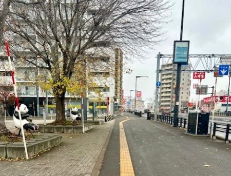 thumbnail_IMG_4706 (1)