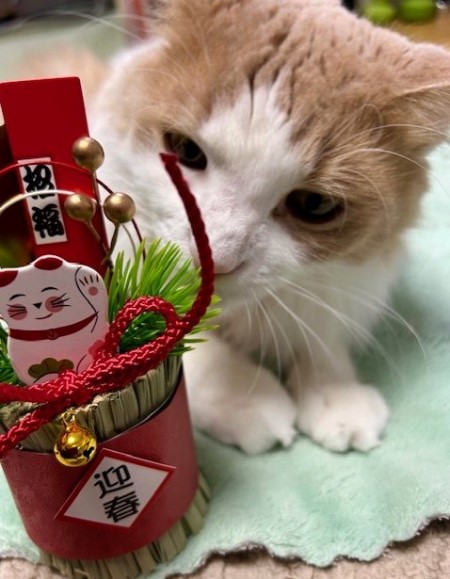 thumbnail_IMG_6049 (1)