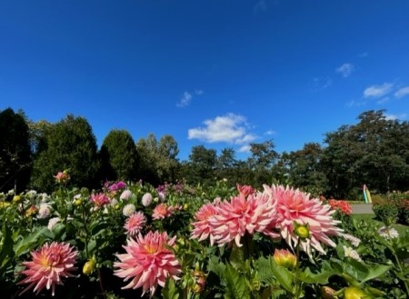 thumbnail_IMG_7968