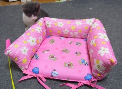 「猫だらけ」