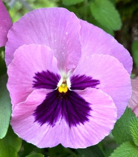 thumbnail_IMG_0861 (1)