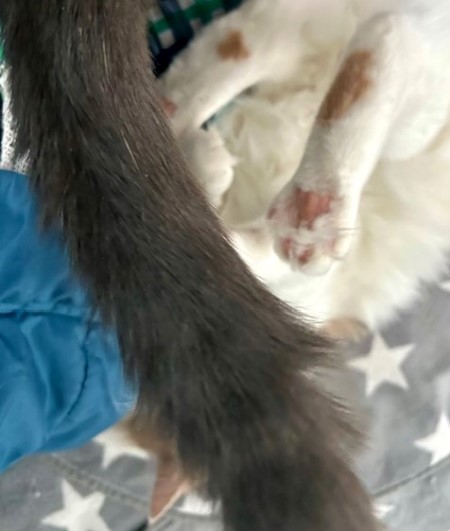 thumbnail_IMG_4314 (1)