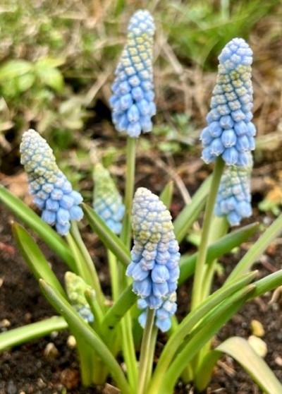 thumbnail_IMG_4912