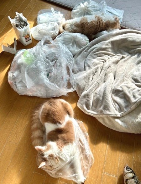 thumbnail_IMG_0514 (1)