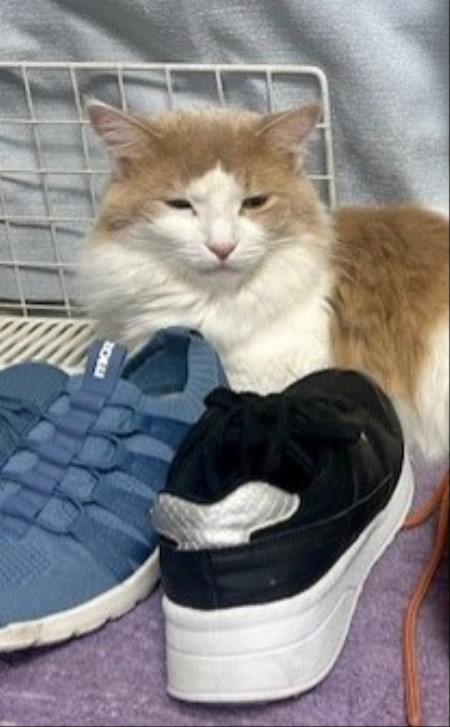 thumbnail_IMG_5204 (2)