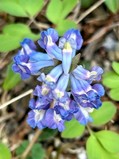 thumbnail_IMG_4593 (2)