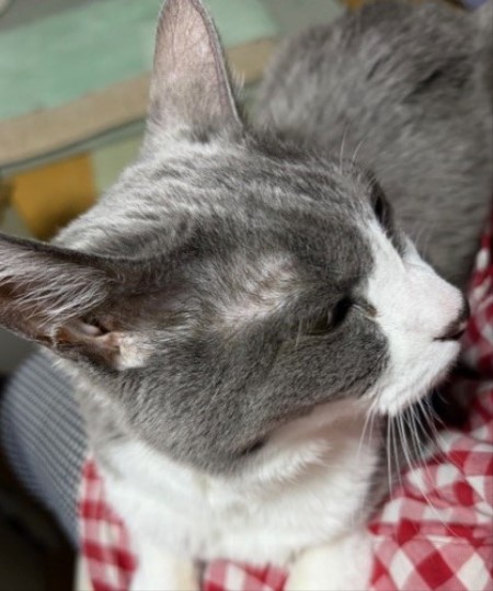 ba45cf81-94ac-459c-8e3e-4632094361c7