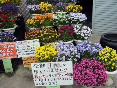 「猫だらけ」