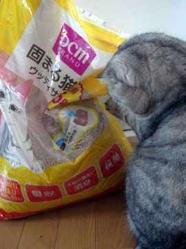 「猫だらけ」