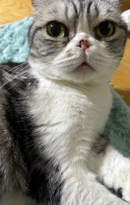 thumbnail_IMG_1475 (2)