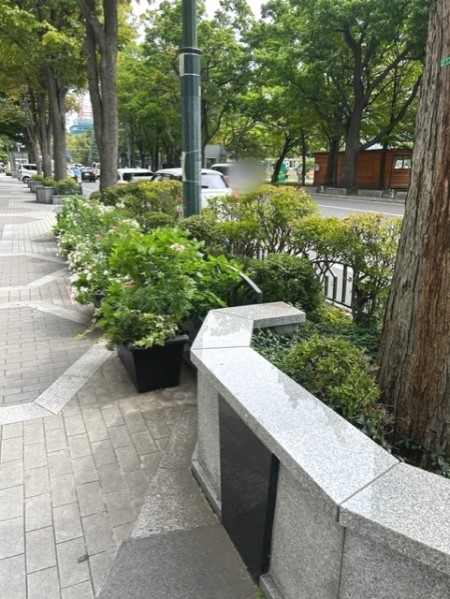 thumbnail_IMG_7653 (1)