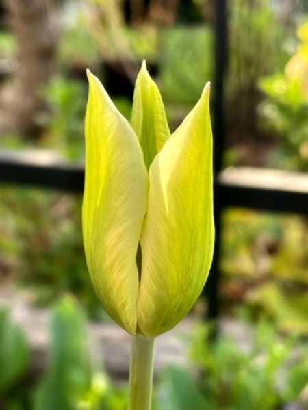 thumbnail_IMG_0315