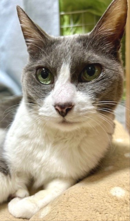 5bef6e3f-4c1f-4370-8aa5-d7013e3a69da