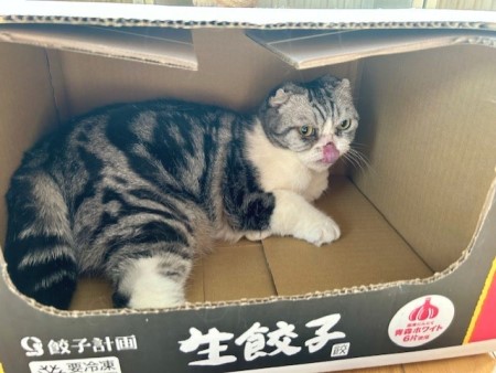 thumbnail_IMG_2452 (2)