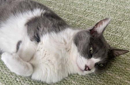 f0587730-c827-47d7-bc4a-ff52fd7f639f