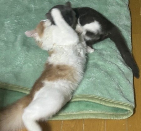 thumbnail_IMG_3141 (1)