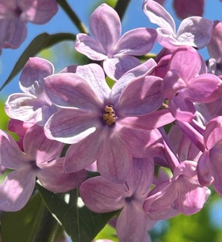 thumbnail_IMG_0547 (1)