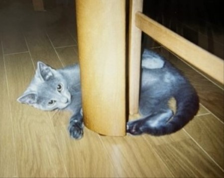 thumbnail_IMG_6990