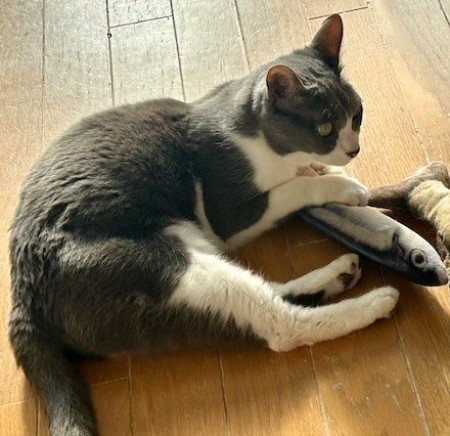 thumbnail_IMG_0511 (2)