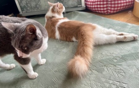 thumbnail_IMG_6023 (1)