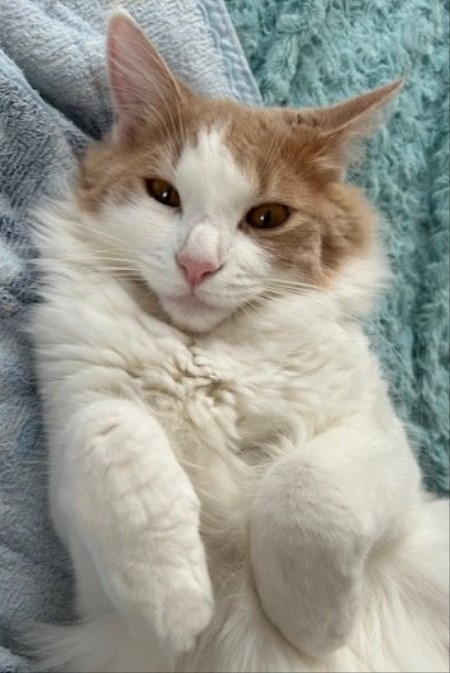 thumbnail_IMG_1576 (2)