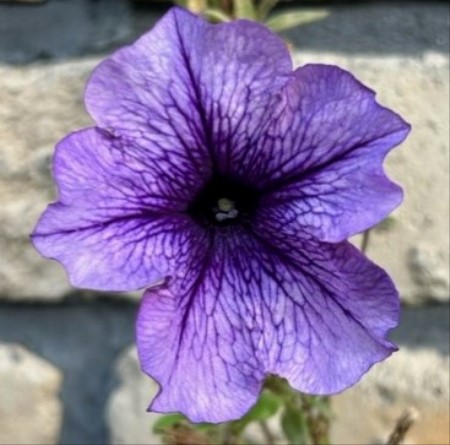 thumbnail_IMG_9482