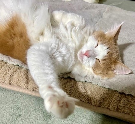 thumbnail_IMG_4820 (1)