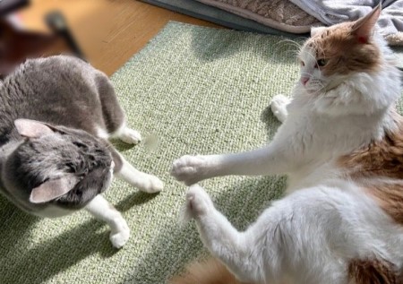 a1112c13-4d74-4c12-8f24-df6b42ac9560