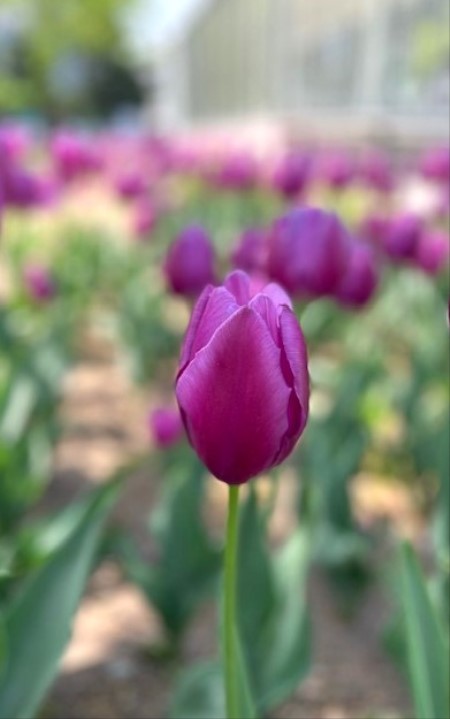 thumbnail_IMG_0720