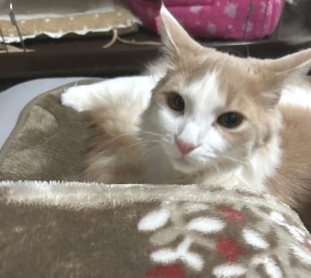 thumbnail_IMG_5698 (1)