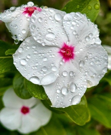 thumbnail_IMG_3549 (1)