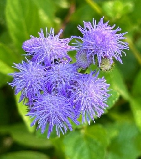 thumbnail_IMG_7710 (1)