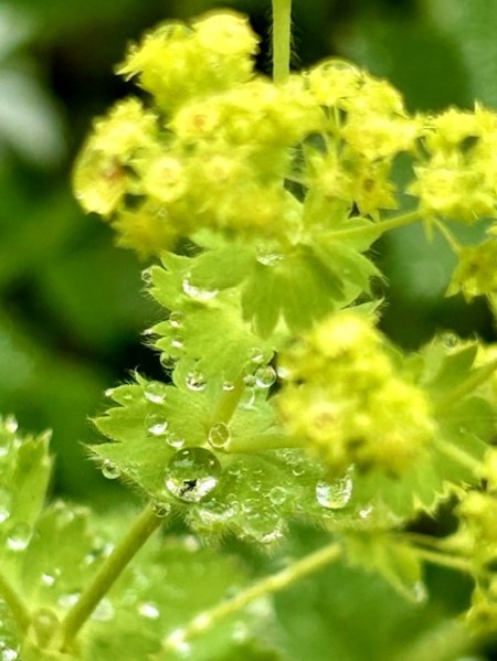 thumbnail_IMG_8028 (1)