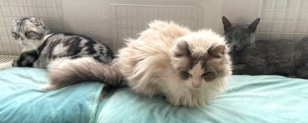 thumbnail_IMG_0263