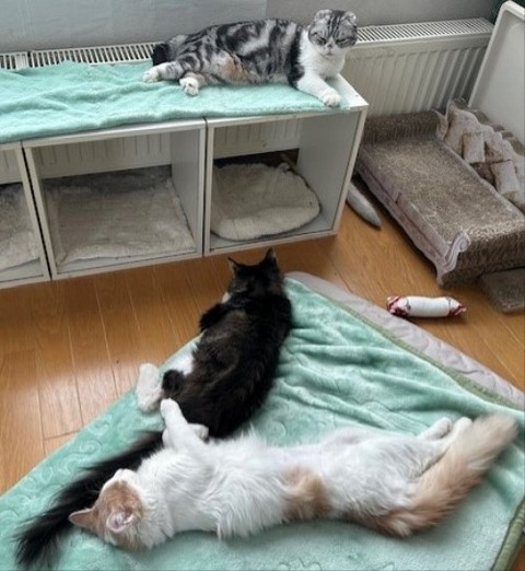 thumbnail_IMG_5302 (1)