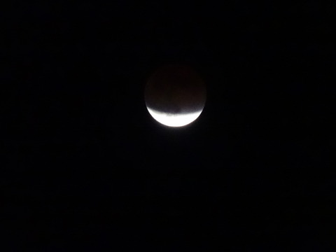 DSC00406