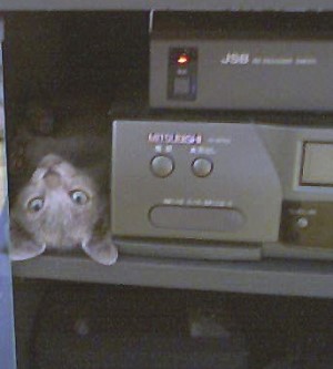 photo129_1